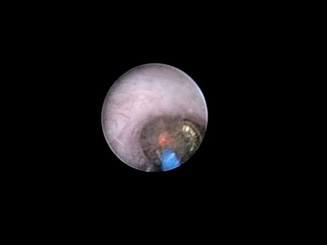 RIRS_VIDEO001.mov