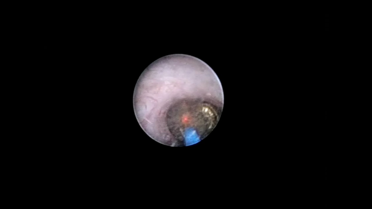 RIRS_VIDEO001.mp4